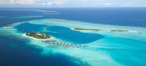 希爾頓島 希爾頓島