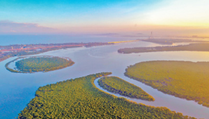 圖為海南東寨港國家級自然保護區，紅樹林連片濃綠，蜿蜒出海。