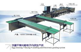 雞蛋清洗機 雞蛋清洗機