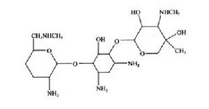硫酸小諾黴素顆粒 硫酸小諾黴素顆粒