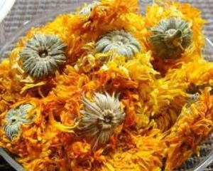 金盞菊花茶 金盞菊花茶