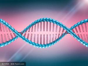 非損傷性基因取樣 非損傷性基因取樣