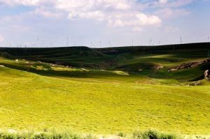 輝騰錫勒大草原黃花溝牧民大營 輝騰錫勒大草原黃花溝牧民大營