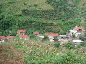 大地咖啡場五隊自然村 大地咖啡場五隊自然村
