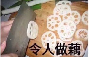 令人做藕 令人做藕