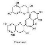 茶黃色素分子結構