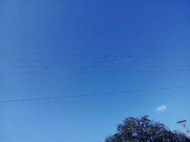 西板台村 西板台村