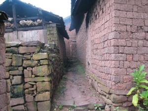 大村坡頭村 大村坡頭村