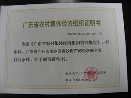 經濟組織 經濟組織