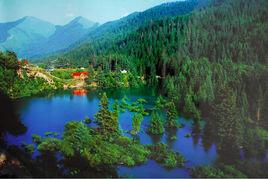 大峪溝[甘肅甘南藏族自治州卓尼縣的景區]