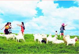 黔東草海 黔東草海