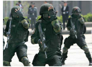 中國刑警之九月風暴