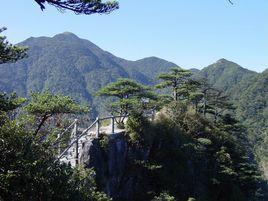 乳源南嶺國家森林公園 乳源南嶺國家森林公園