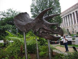 （圖）美國國家博物館