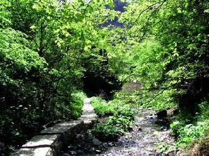 中國自然保護區