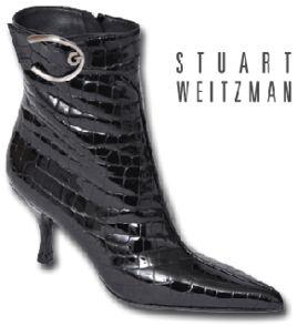 斯圖爾特·韋茨曼 斯圖爾特·韋茨曼