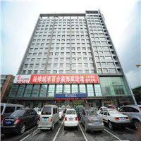 百合裝飾 百合裝飾