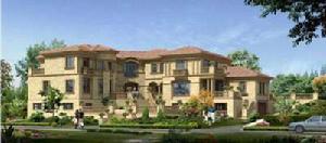 東氿1號 東氿1號