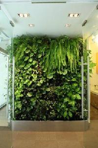 植物屏風 植物屏風