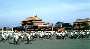 腳踏車交通 腳踏車交通