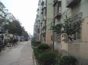 國權北路青石路小區 國權北路青石路小區