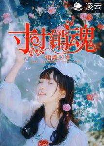 寸寸銷魂[凌雲文學網小說]