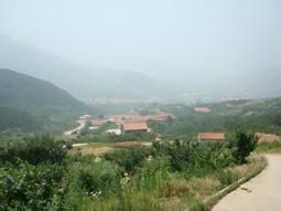 牛齊前村 牛齊前村