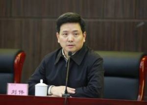 劉偉[全國人大常委會預算工作委員會副主任]