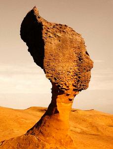 著名的“女王頭”