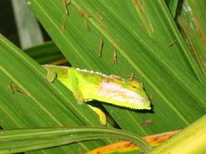 瑪依谷地自然保護區