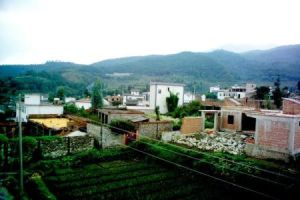 大井盤村 大井盤村