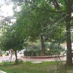 西南核物理 西南核物理