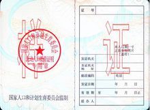 流動人口婚育證明