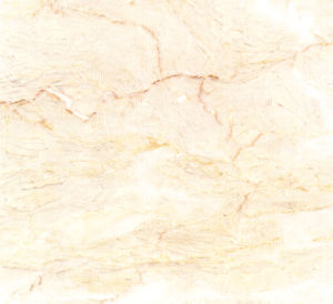 金花米黃-中花 | PerlatoSvevo |