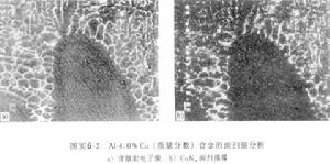 （圖）原子探針