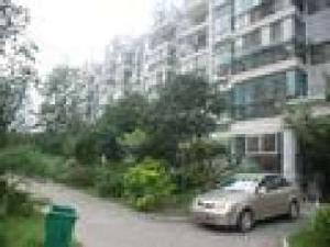 港堯新村 港堯新村