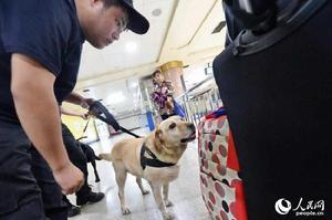 搜油警犬 搜油警犬