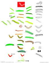 這是常見的肉蟲