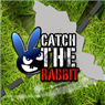 捕捉兔子 捕捉兔子