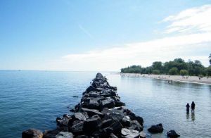 多倫多中央島 多倫多中央島