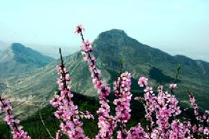 白狼山自然保護區