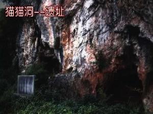 貓貓洞遺址 貓貓洞遺址