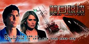 《觸目驚鯊》 《觸目驚鯊》