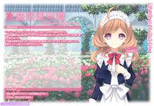 凱薩琳·科萊特