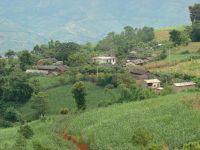 鍾寨自然村 鍾寨自然村