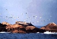 南鹿自然保護區 南鹿自然保護區