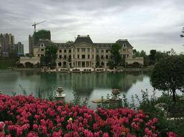 成都中洲中央公園 成都中洲中央公園