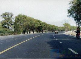 津圍公路 津圍公路