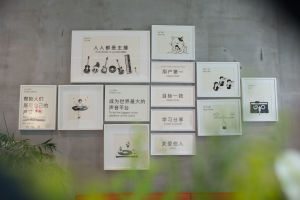 荔枝核心價值觀