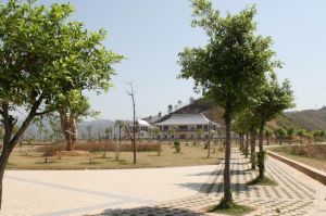 和平縣東山嶺 和平縣東山嶺